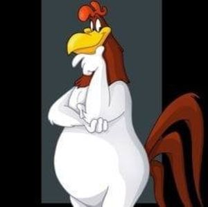 Meet your Posher, Gallo